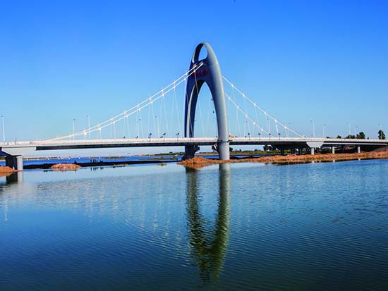 兴城市海河大桥1